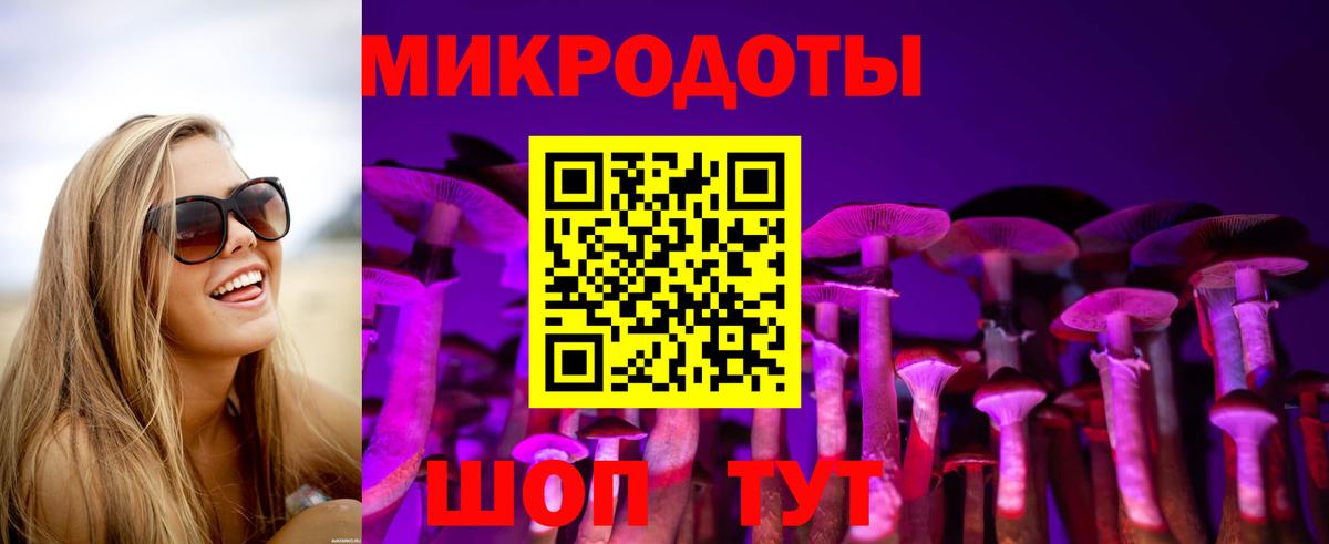 А ПВП Кинель