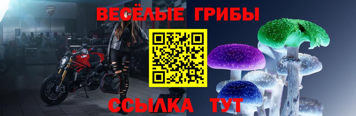 Кинель  Галлюциногенные грибы Magic Shrooms  Вход с VPN  Псилоцибиновые грибы GOLDEN TEACHER 